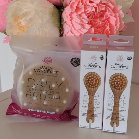 Daily Concepts Other - Daily Concepts Brush Bundle